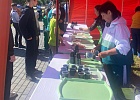 В Чишминском районе Республики Башкортостан состоялось мероприятие «Семейные ценности в Исламе»