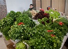 В Уфе радостно отметили праздник весны Навруз