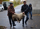 В Уфе прошло празднование «Курбан-Байрам» («Ид-аль-Адха»)