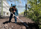 Талгат Сафа Таджуддин – почетный гость акции «Аллея героев»