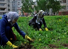 Активисты «Гибадуррахман» посадили более ста деревьев